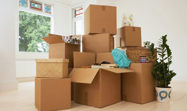 Packers and Movers in Kurmannapalem